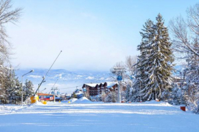 Villa Raphael near the Pirin Golf Resort